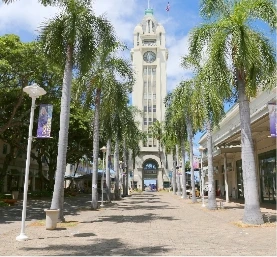 using-benefits-at-hpu-image